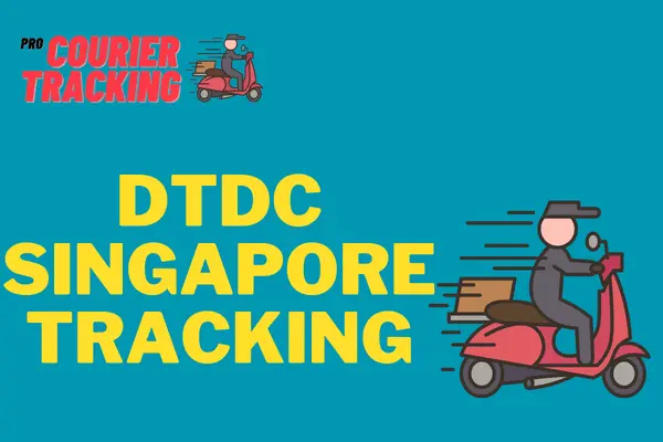dtdc singapore tracking