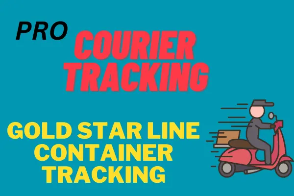 gold-star-line-container-tracking